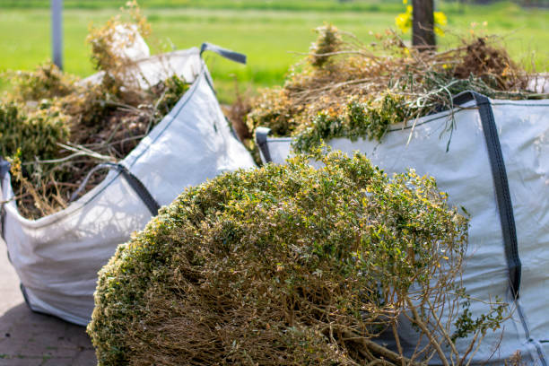 Best Scrap Metal Removal  in Eming Island, FL